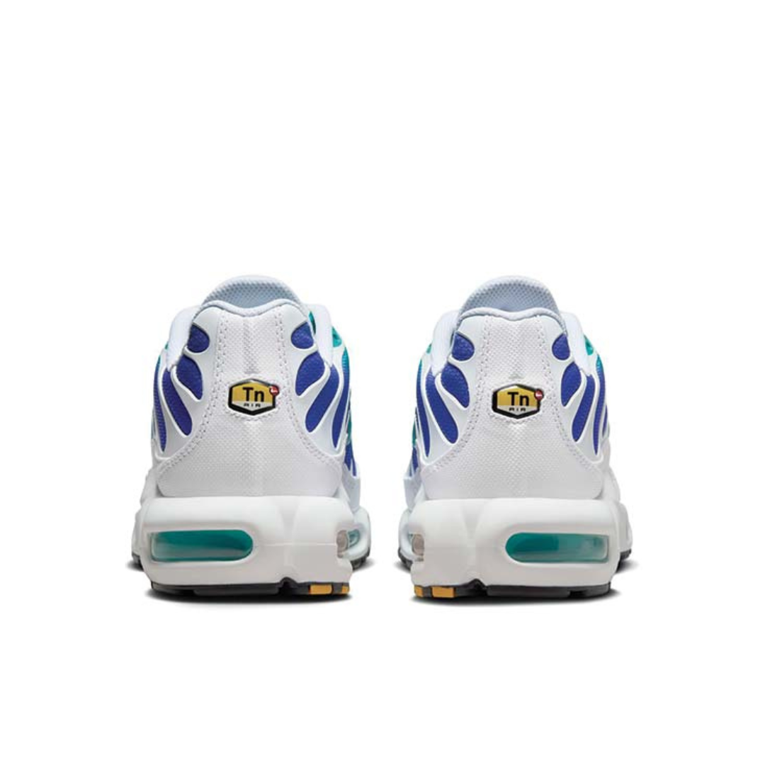 TN Aqua
