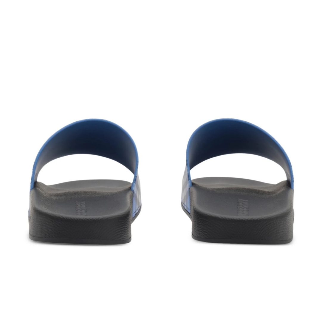 Slides Monochromatic