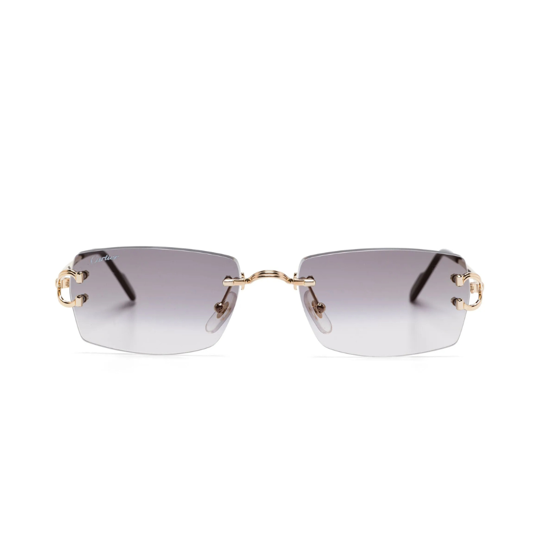 Monochromatic Sunglasses